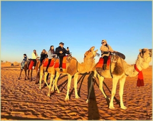 Camel Trekking