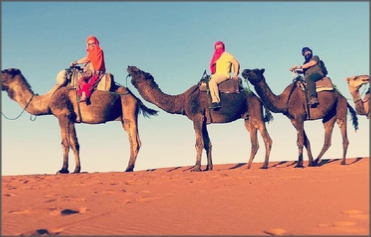 Camel trek Merzouga