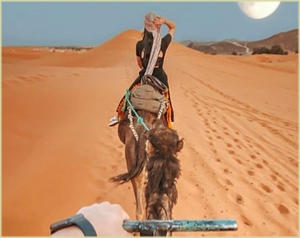 Camel Trekking