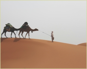 8-Day Private Morocco Desert Tour