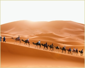 private tour from Marrakech to Tangier via Sahara desert, Fes and Chefchaouen