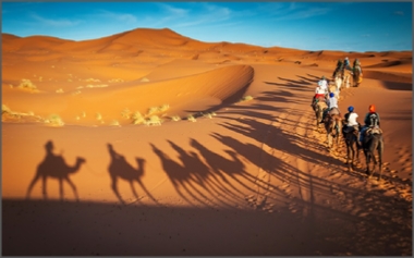 Tours from Marrakech