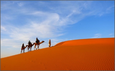 Tours from Marrakech