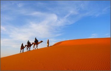 Tours from Marrakech