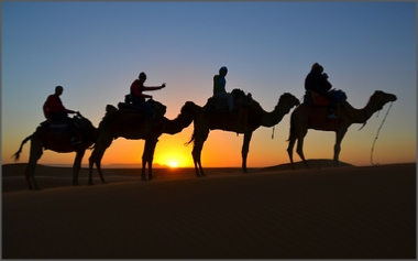 Tours from Marrakech