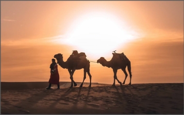Morocco Family Tours