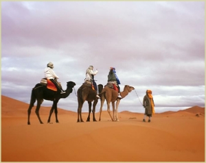 Desert Tour from Tangier