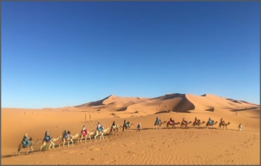 North and South Morocco Tour