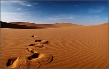 5 days private tour from Tangier