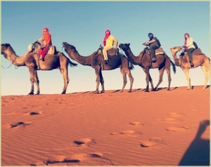 Marrakech Tours