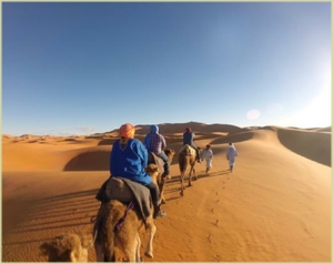 desert tour Agadir or Taghazout
