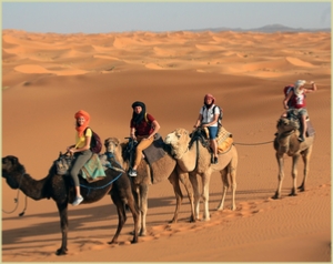 Marrakech Tours