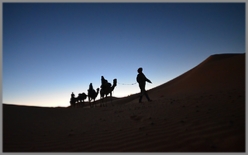BEST 2 days 1 night Sahara trip from Fes to Marrakech