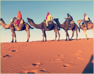 Marrakech Tours